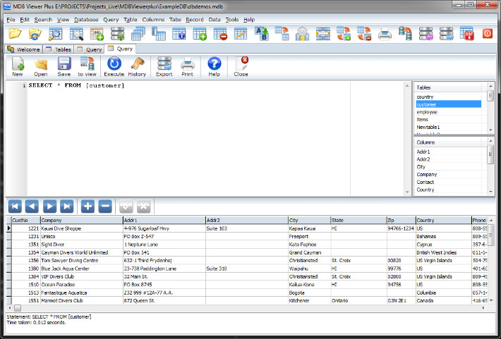 MDB Viewer Plus 2.55 screenshot showing query window.